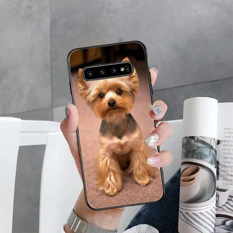 Yorkshire Terrier Pies Szczeniak Etui do telefonu Samsung Galaxy S20 Ultra S20 Plus S10 S9 S8 Plus S7 Edge S21 Plus