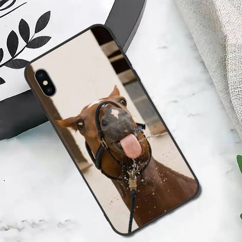 Frederik The Great beauty horse Phone Case for iPhone 11 12 pro XS MAX 8 7 6 6S Plus X 5S SE 2020 XR mini
